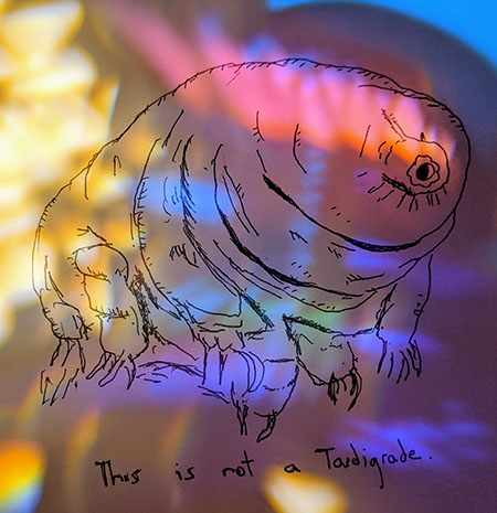 This is not a Tardigrade
